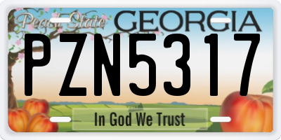 GA license plate PZN5317
