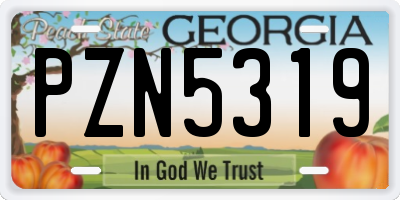 GA license plate PZN5319