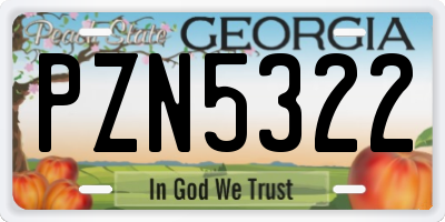 GA license plate PZN5322