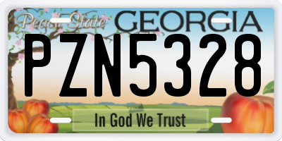 GA license plate PZN5328