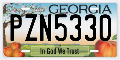 GA license plate PZN5330
