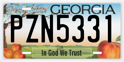 GA license plate PZN5331