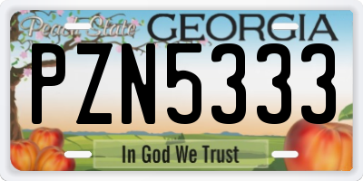 GA license plate PZN5333