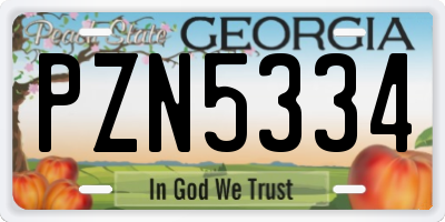 GA license plate PZN5334