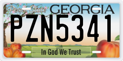 GA license plate PZN5341