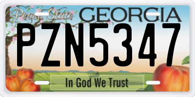 GA license plate PZN5347