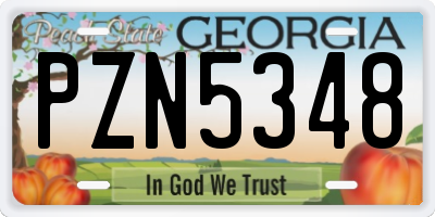 GA license plate PZN5348