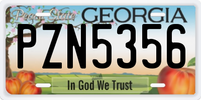 GA license plate PZN5356