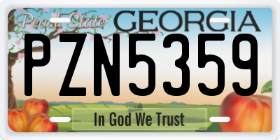 GA license plate PZN5359