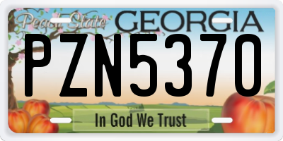 GA license plate PZN5370