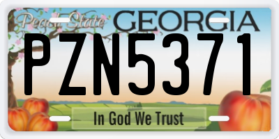 GA license plate PZN5371