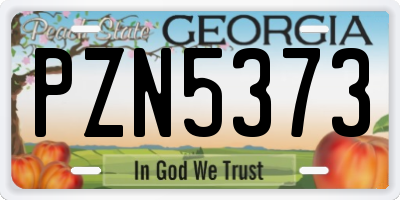 GA license plate PZN5373
