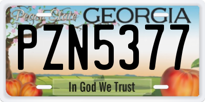 GA license plate PZN5377
