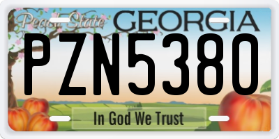 GA license plate PZN5380