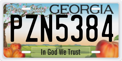 GA license plate PZN5384