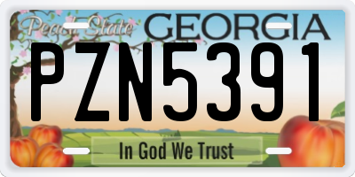 GA license plate PZN5391