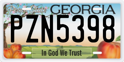 GA license plate PZN5398