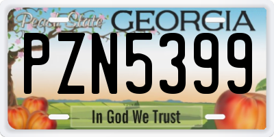 GA license plate PZN5399