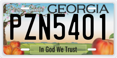 GA license plate PZN5401