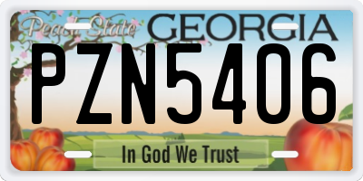 GA license plate PZN5406