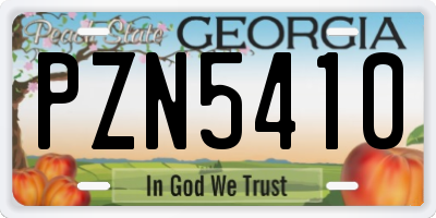 GA license plate PZN5410