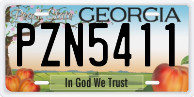 GA license plate PZN5411