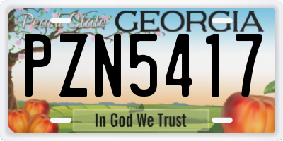 GA license plate PZN5417
