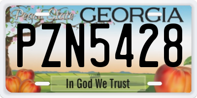 GA license plate PZN5428