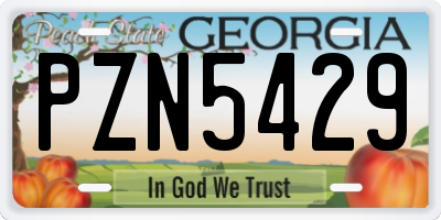 GA license plate PZN5429