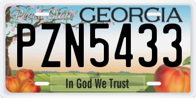 GA license plate PZN5433
