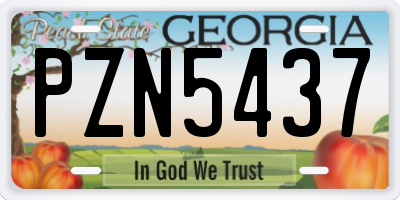 GA license plate PZN5437