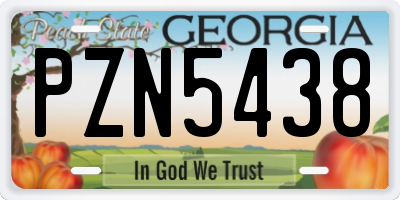 GA license plate PZN5438
