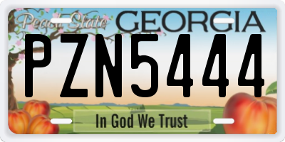 GA license plate PZN5444
