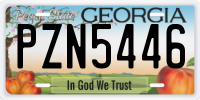 GA license plate PZN5446