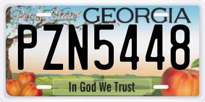 GA license plate PZN5448