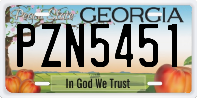 GA license plate PZN5451