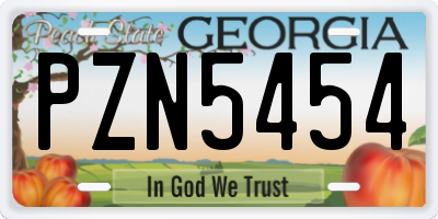 GA license plate PZN5454