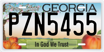GA license plate PZN5455