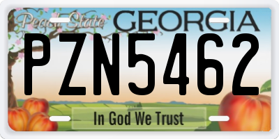GA license plate PZN5462