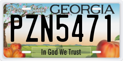 GA license plate PZN5471