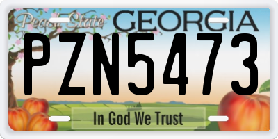 GA license plate PZN5473
