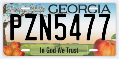 GA license plate PZN5477