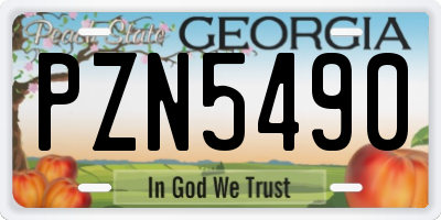 GA license plate PZN5490