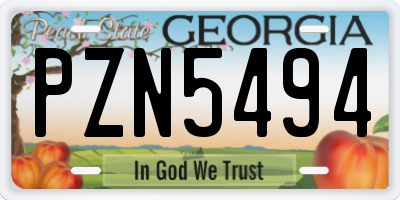 GA license plate PZN5494