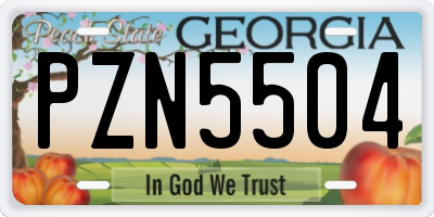 GA license plate PZN5504