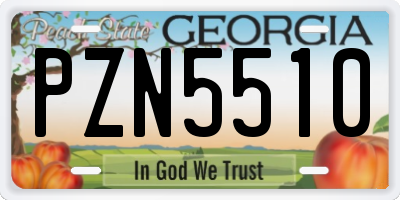 GA license plate PZN5510