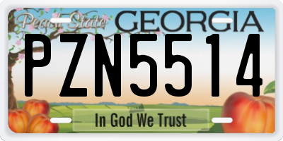 GA license plate PZN5514