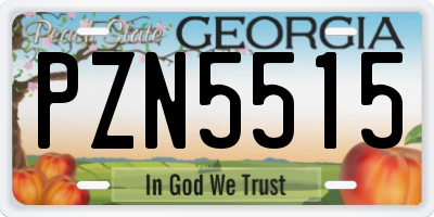 GA license plate PZN5515