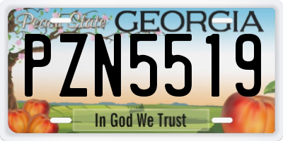 GA license plate PZN5519