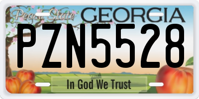 GA license plate PZN5528
